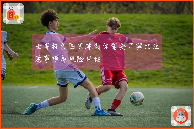 世界杯外围买球前你需要了解的注意事项与风险评估