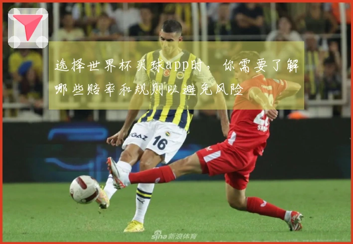 选择世界杯买球app时，你需要了解哪些赔率和规则以避免风险