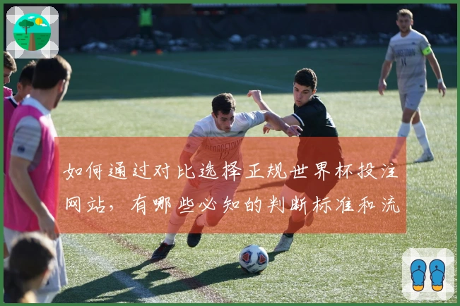 如何通过对比选择正规世界杯投注网站，有哪些必知的判断标准和流程？