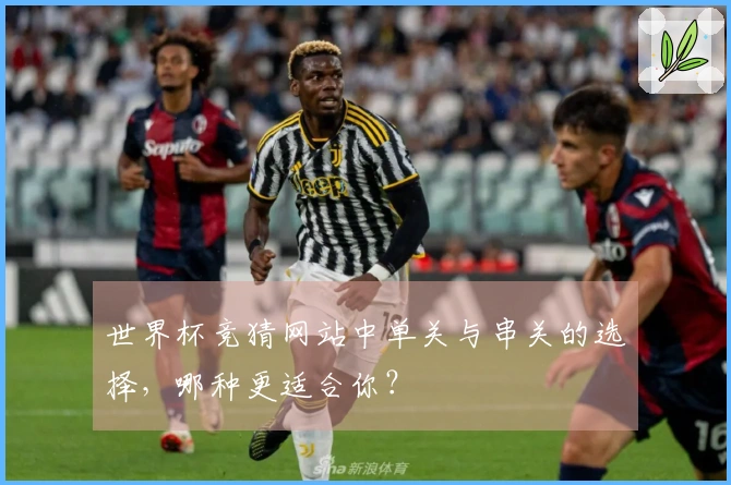 世界杯竞猜网站中单关与串关的选择，哪种更适合你？